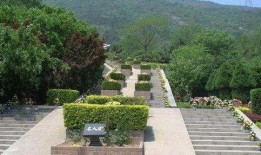 墓地新闻爆料,揭秘背后惊人真相